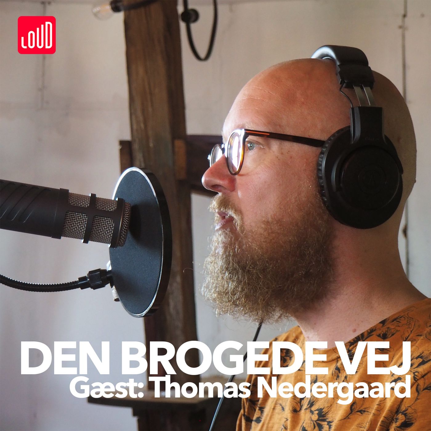 Den Brogede Vej