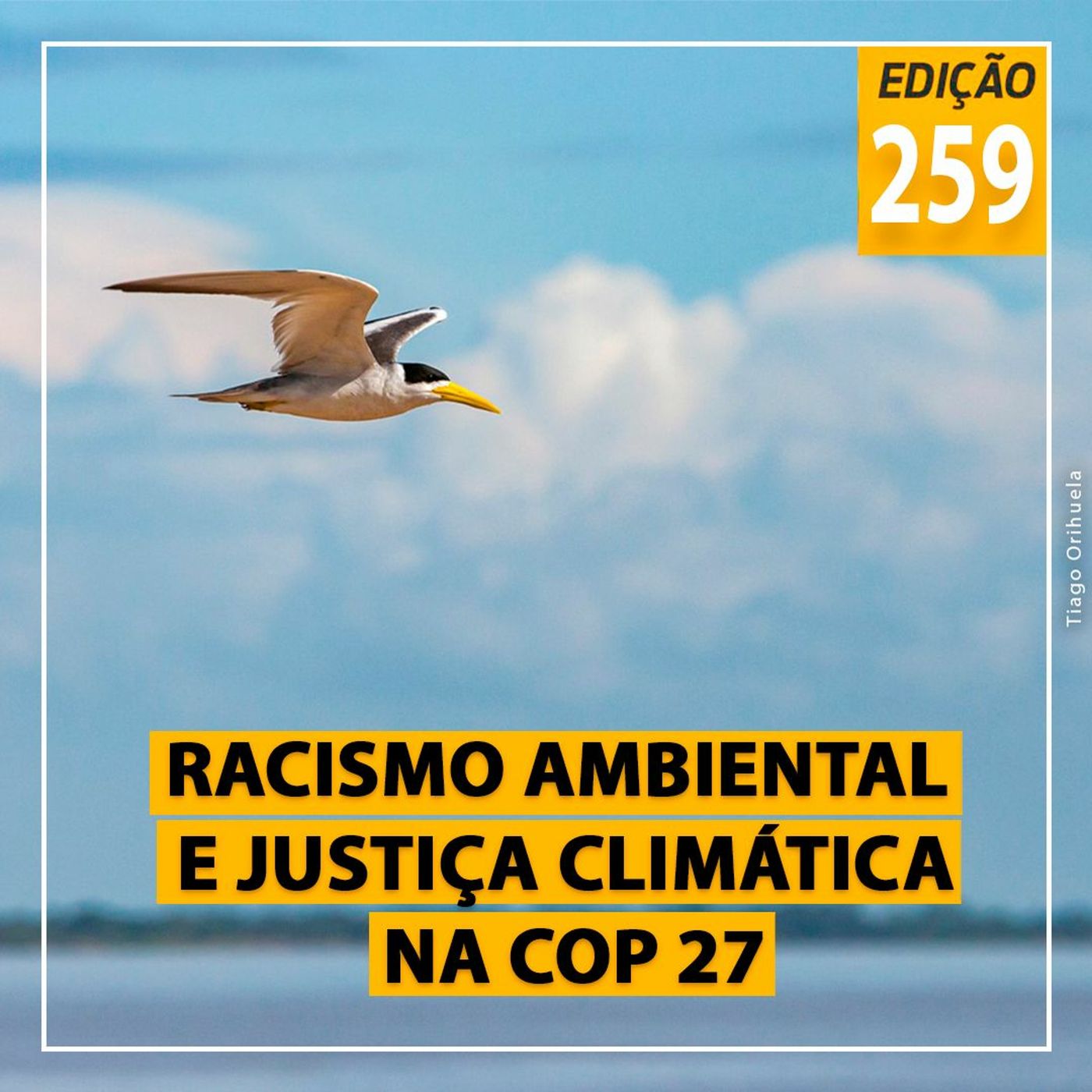 Copiô, parente!
