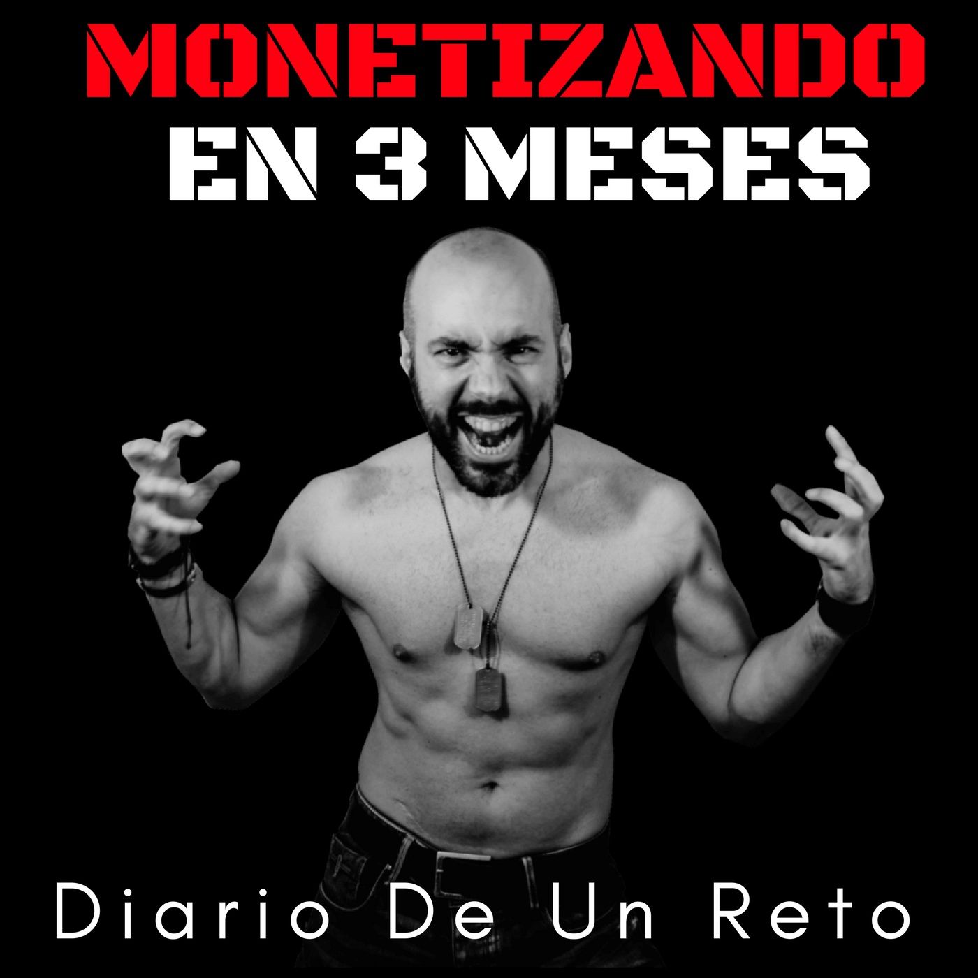 Reto Monetizando en 3 meses cover art
