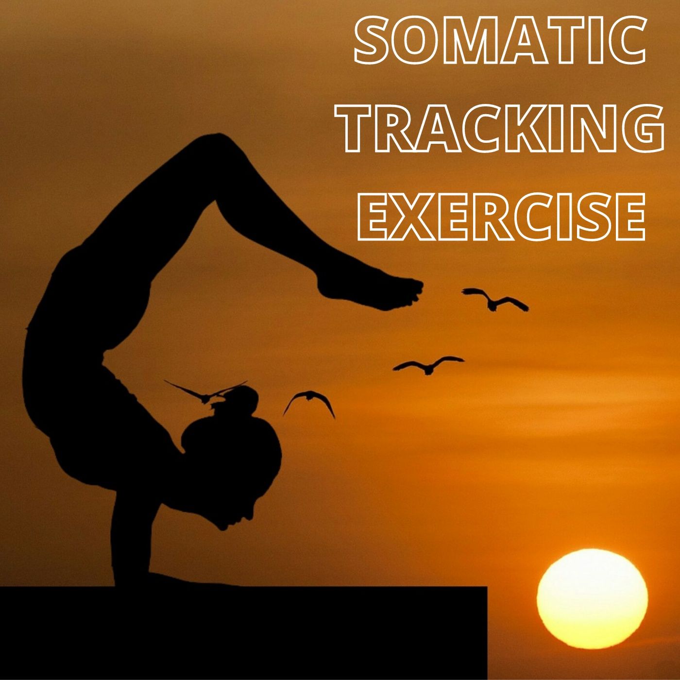 #38 “SOMATIC TRACKING EXERCISE” (hypnotist Jason Newland)