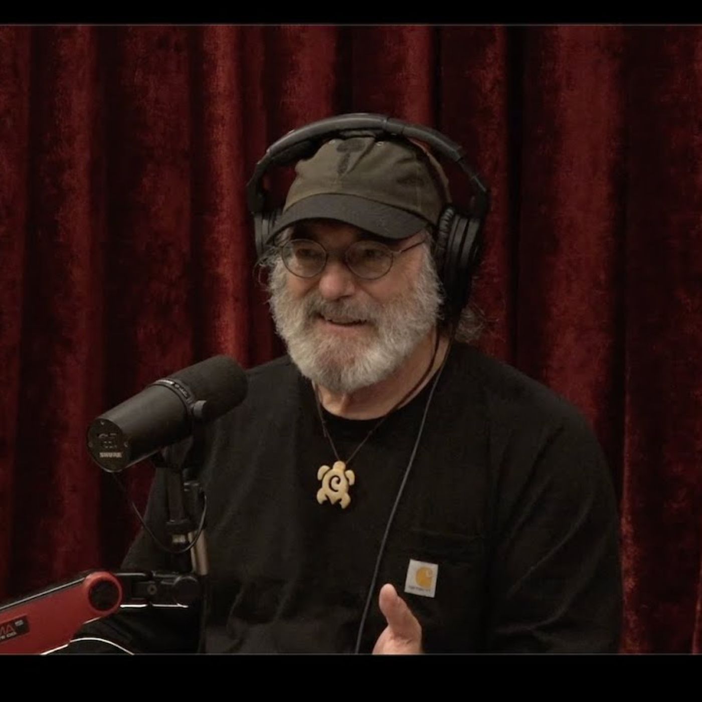 Joe Rogan Experience _2347 - Paul Stamets episode artwork