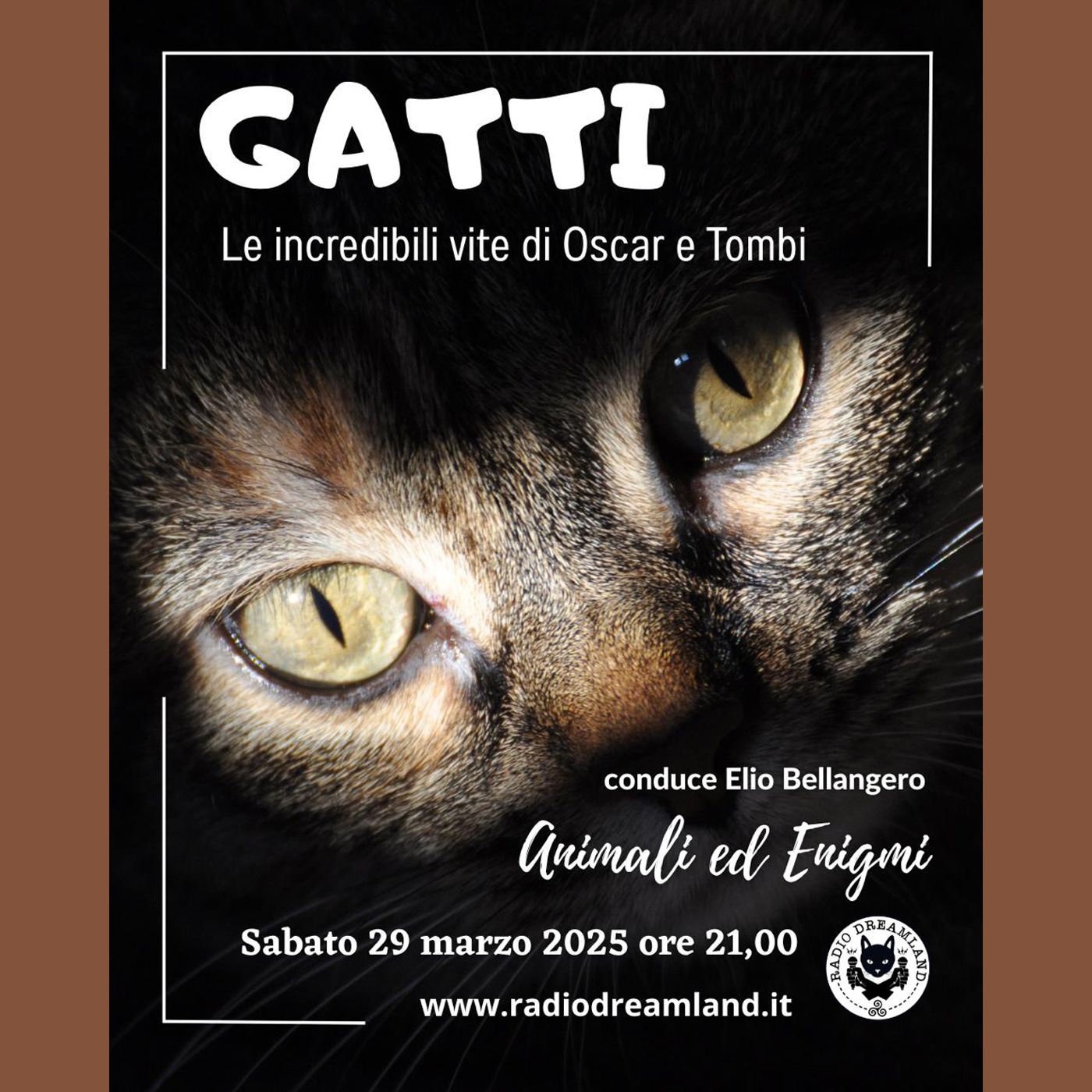 Gatti, le incredibili vite di Oscar e Tombi episode artwork