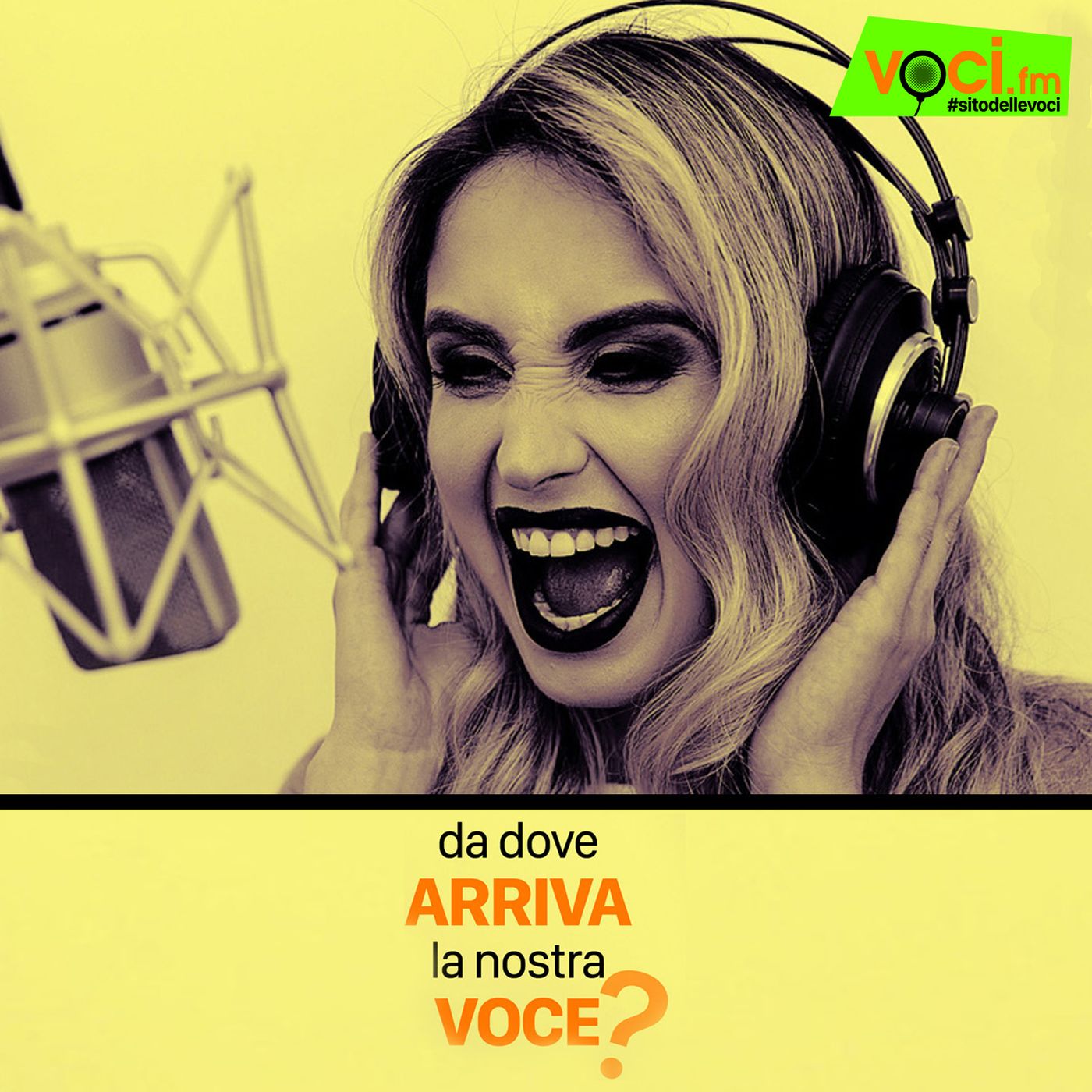 Voci.fm