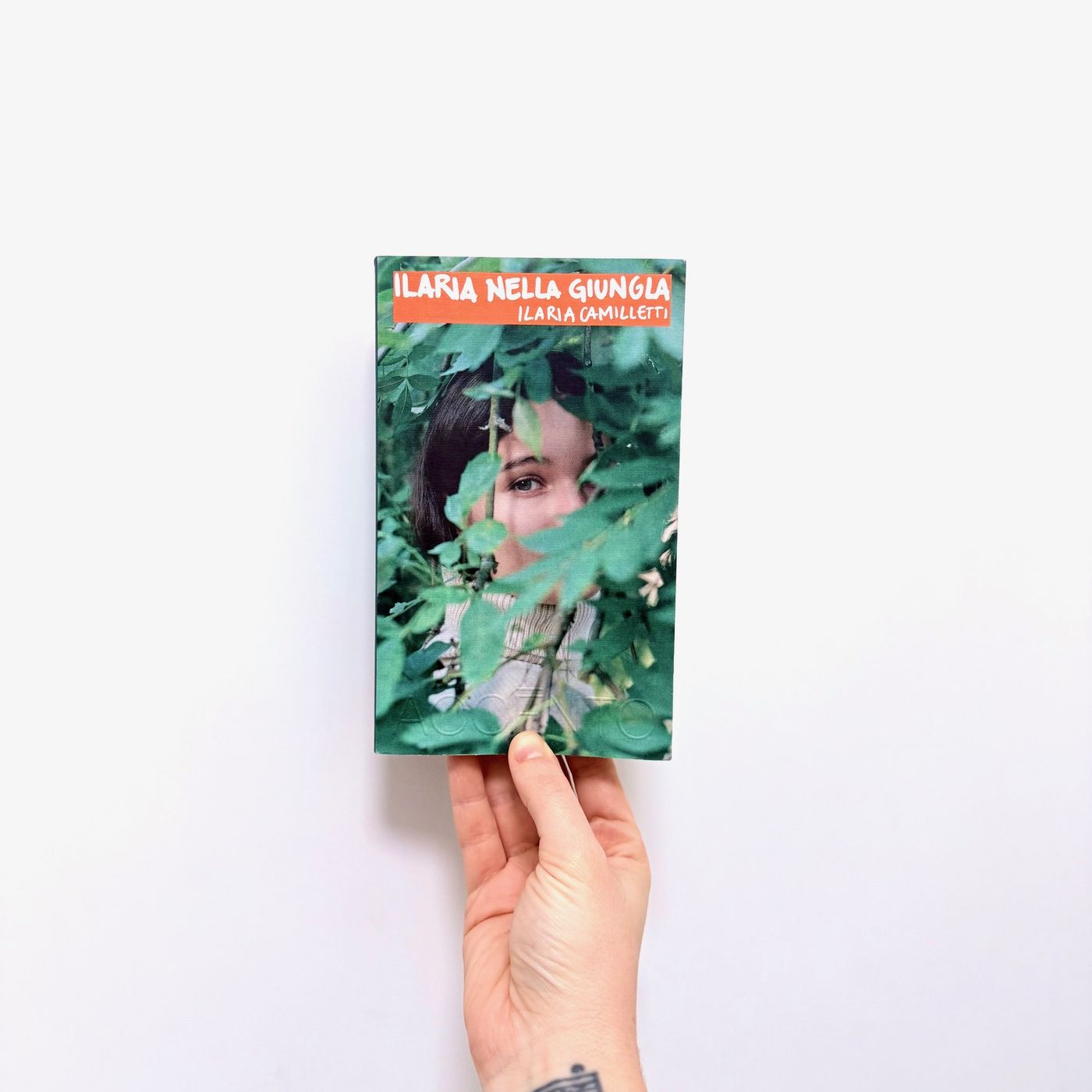 In piazza nei vicoli e fuori città - ILARIA NELLA GIUNGLA di Ilaria Camilletti (Accento) In piazza nei vicoli e fuori città - ILARIA NELLA GIUNGLA di Ilaria Camilletti (Accento)