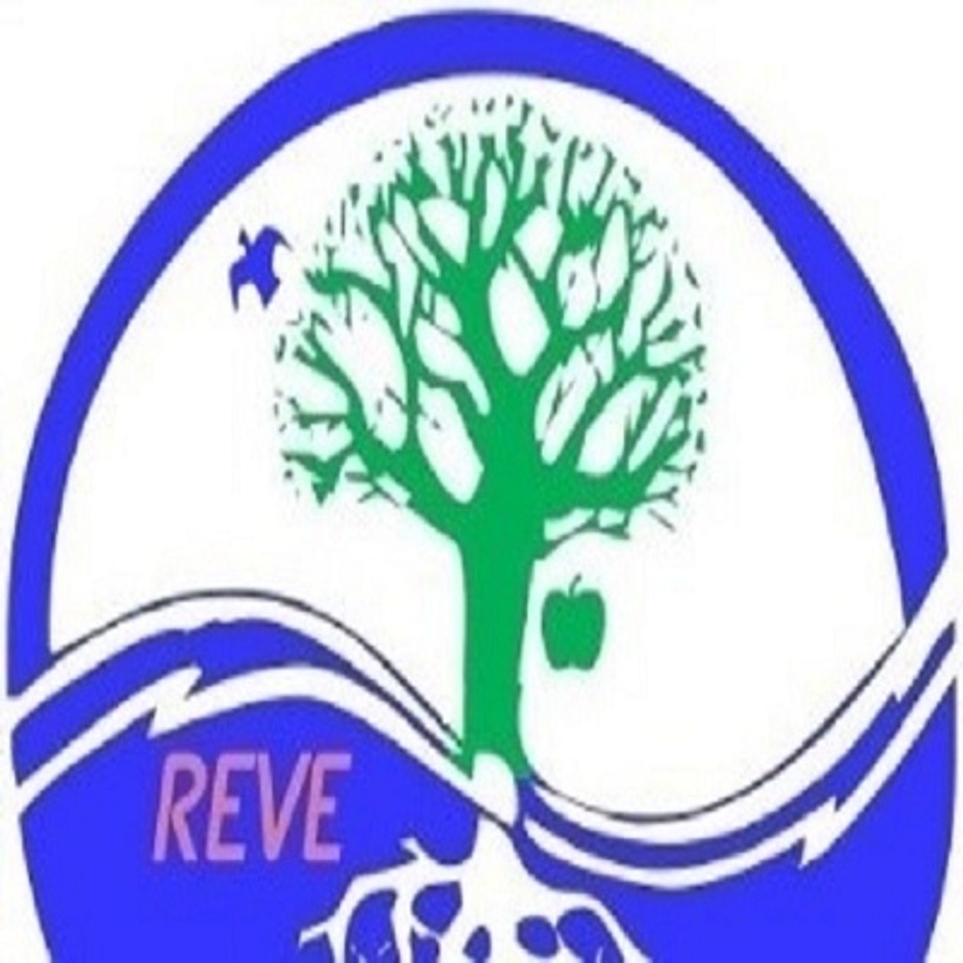 Revefm Fiabilite\'s show