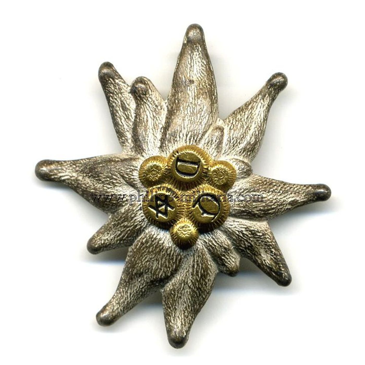 6.2 Introduzione all'alpinismo germanofono 6.2 Introduzione all'alpinismo germanofono