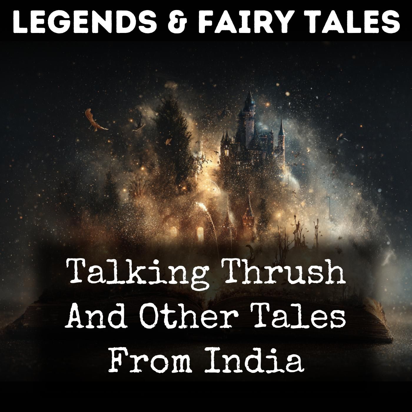Talking Thrush And Other Tales From India podcast artwork