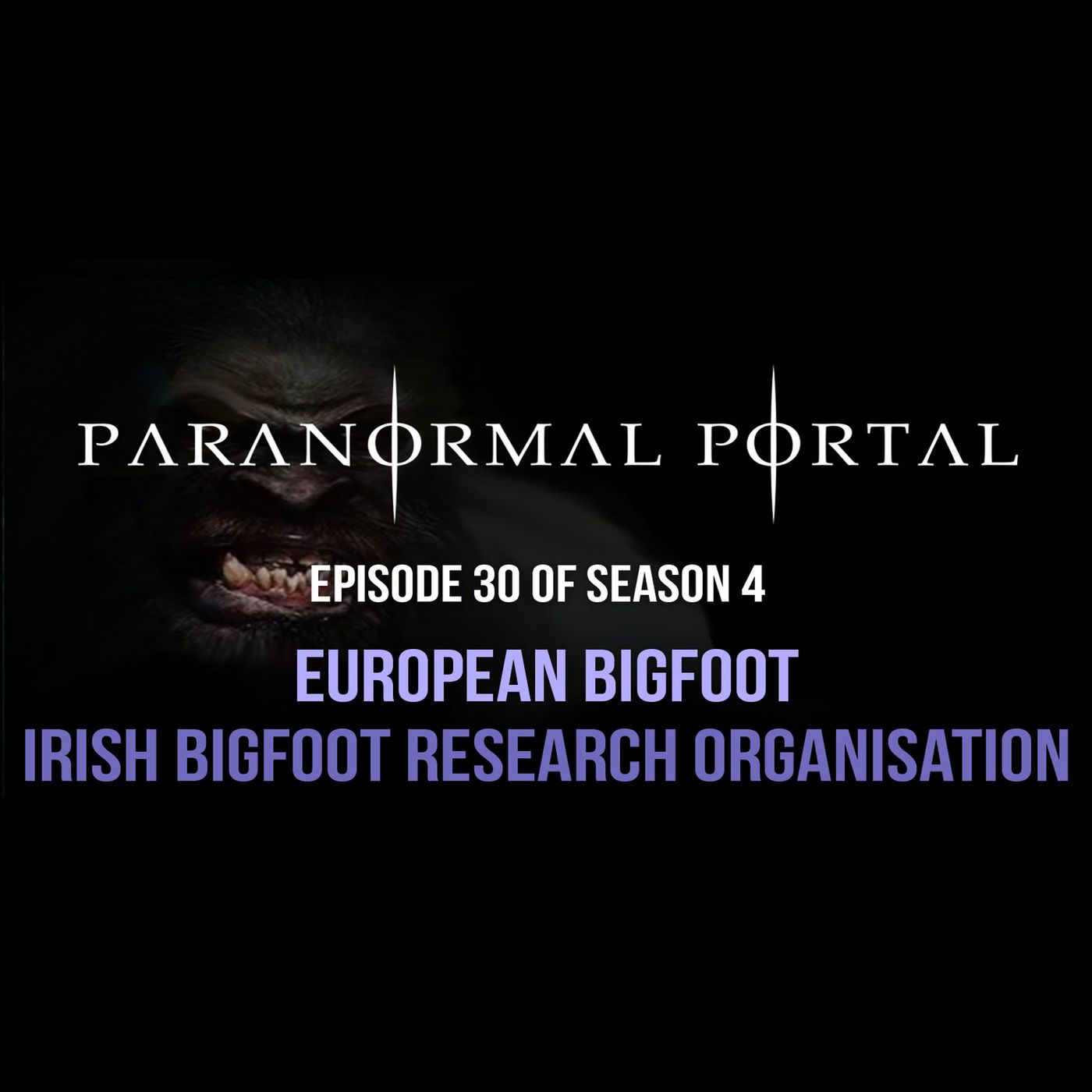 S4EP30 - European Bigfoot - Irish Bigfoot Research Organisation episode artwork