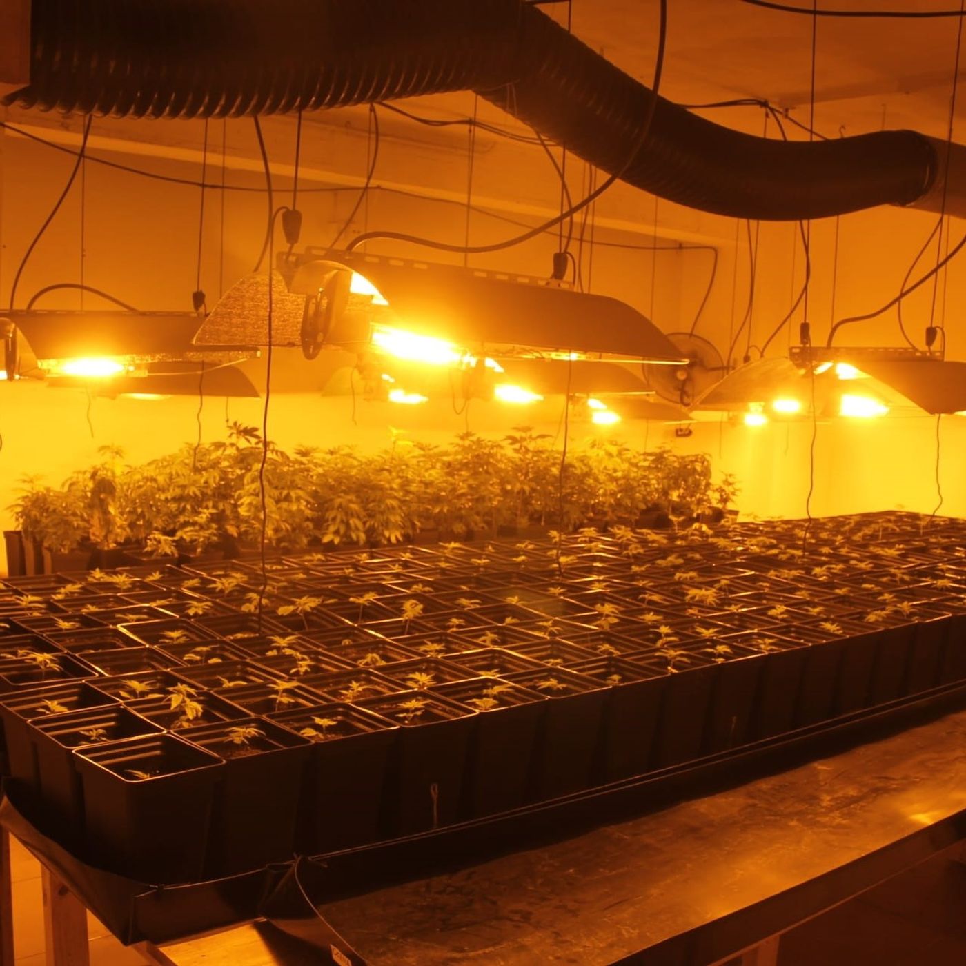 Reportajes en Es la Mañana: Vivir en Sevilla