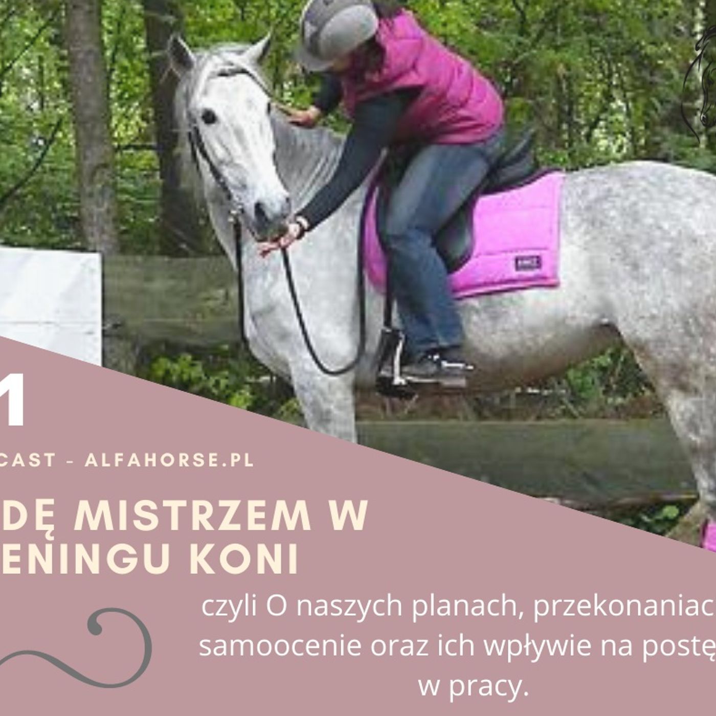 Podcast 21: Będę mistrzem w treningu koni episode artwork