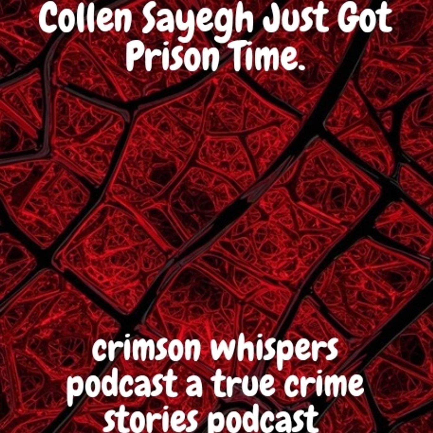 Collen Sayegh Just Got Prison Time episode artwork