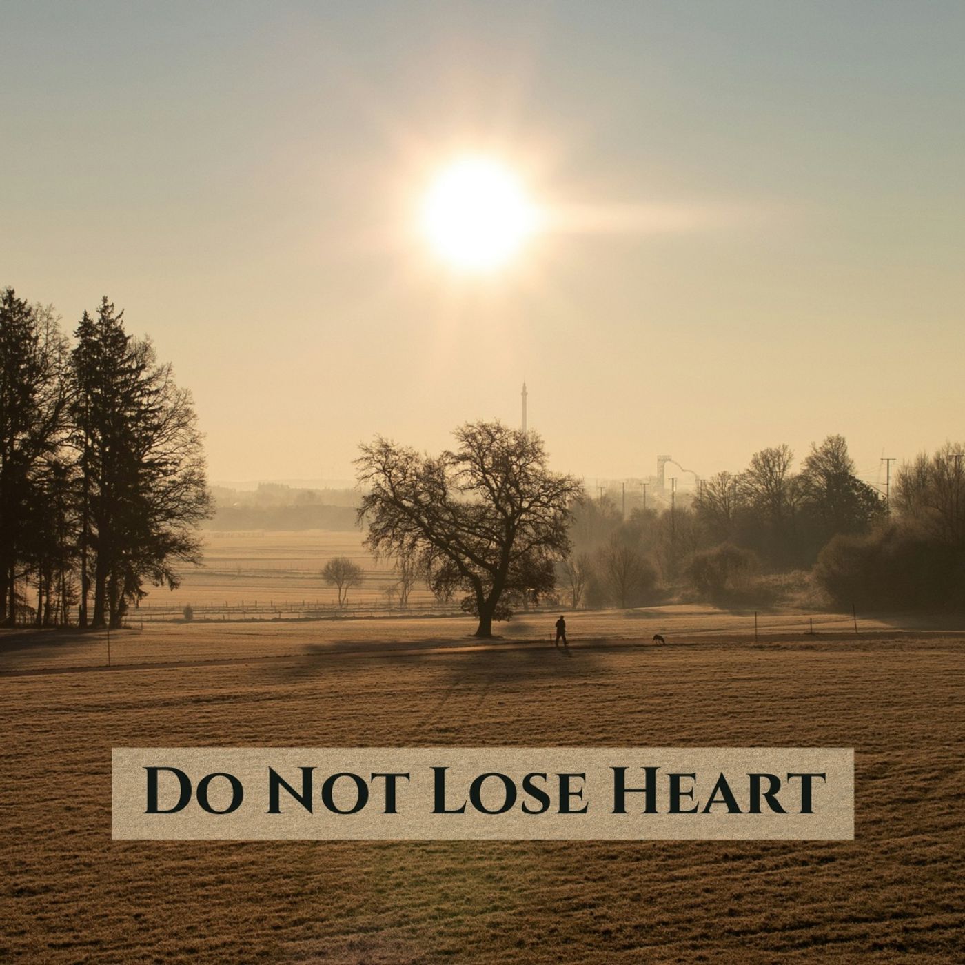 2 Corinthians 4:16-18 • Do Not Lose Heart (Part 3) episode artwork
