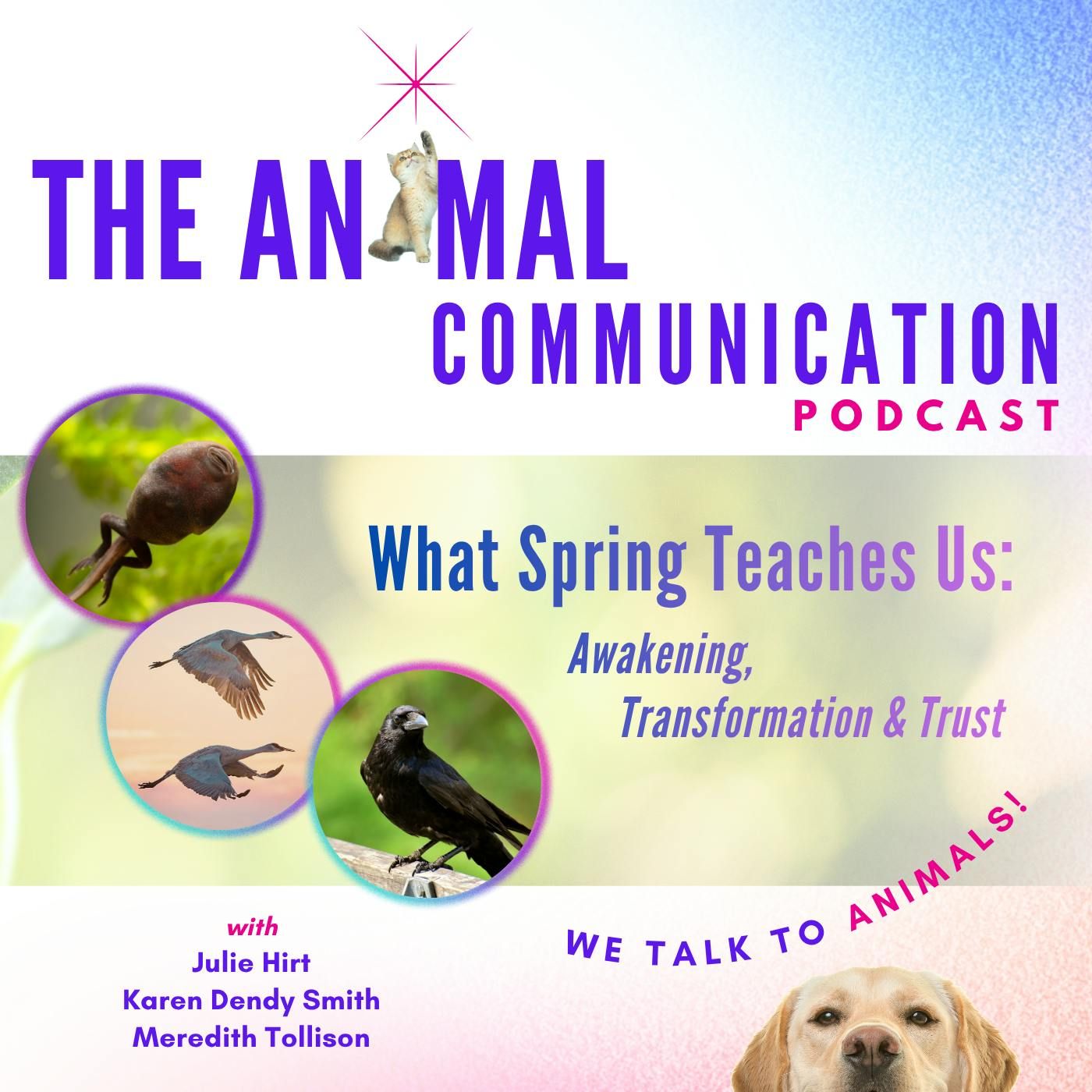 What Spring Teaches Us: Awakening, Transformation & Trust episode artwork