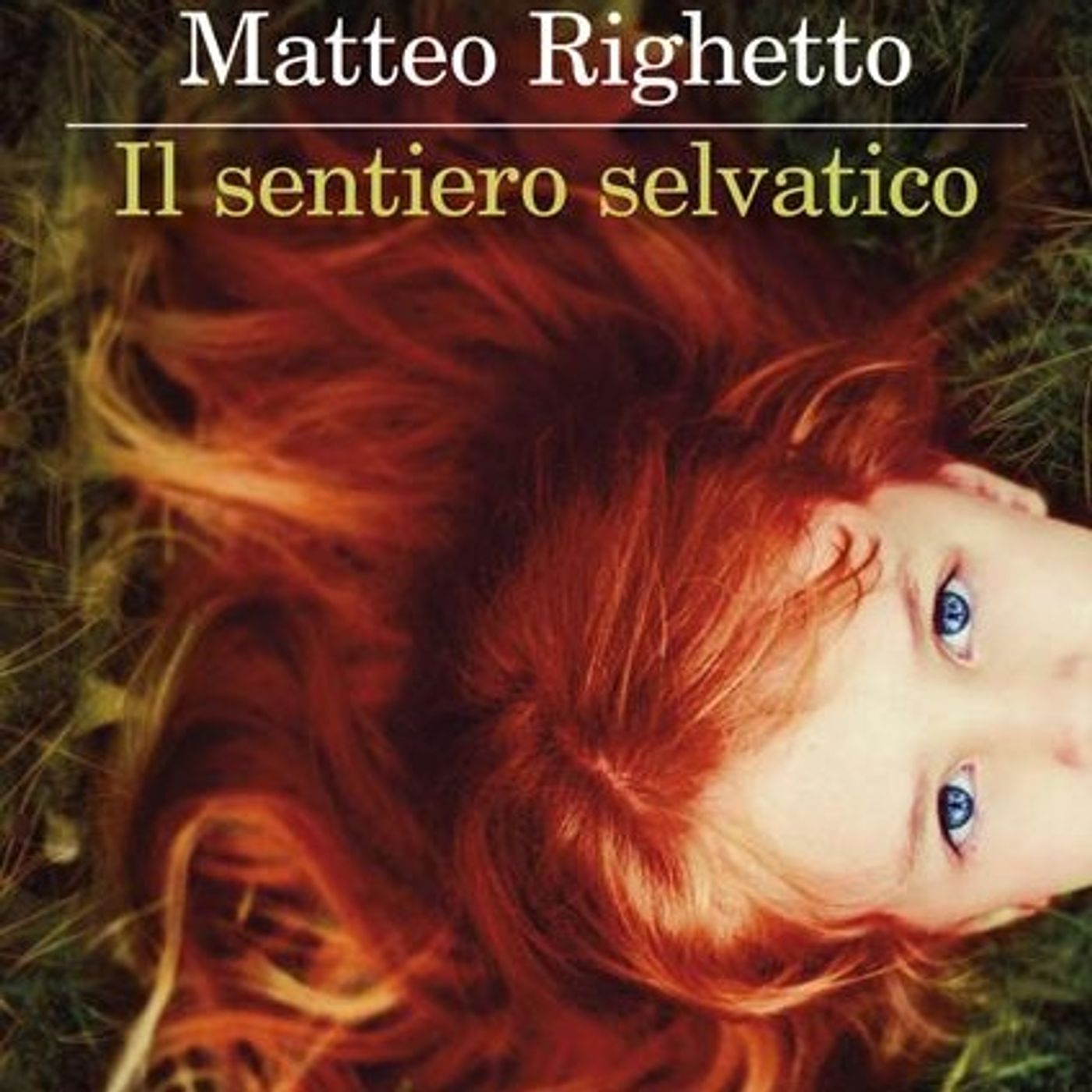 Matteo Righetto "Il sentiero selvatico"