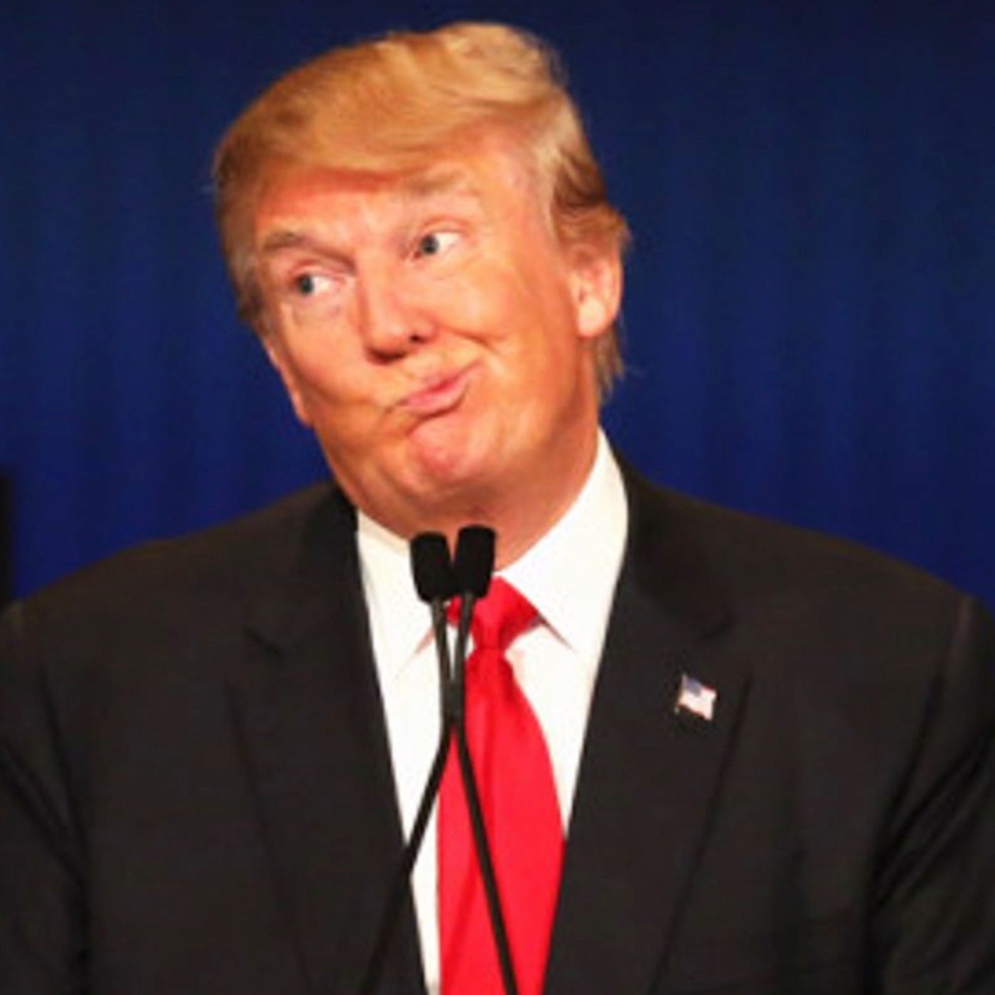 King of the Tax Code? Or Tax Dumbo?