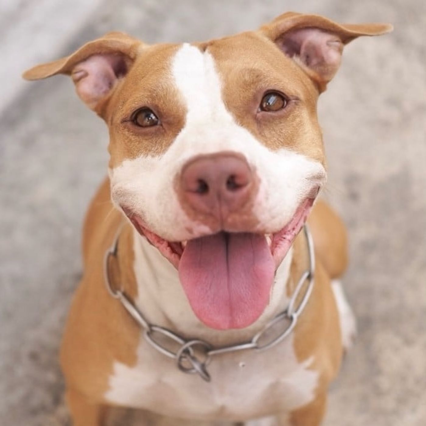 Gun Violence and Crime