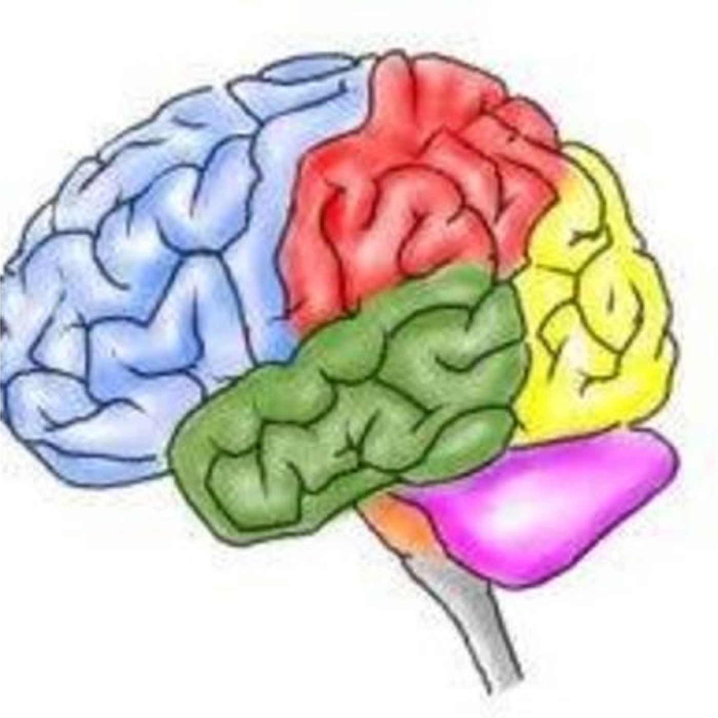 Concussion Matters
