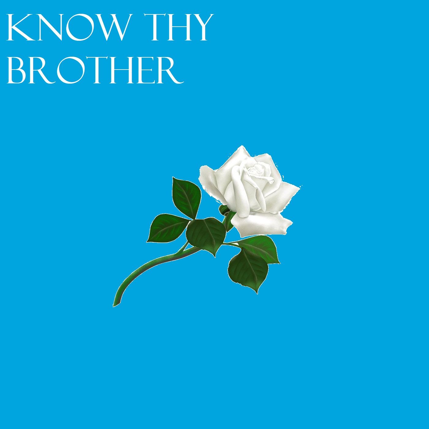 Know Thy Brother