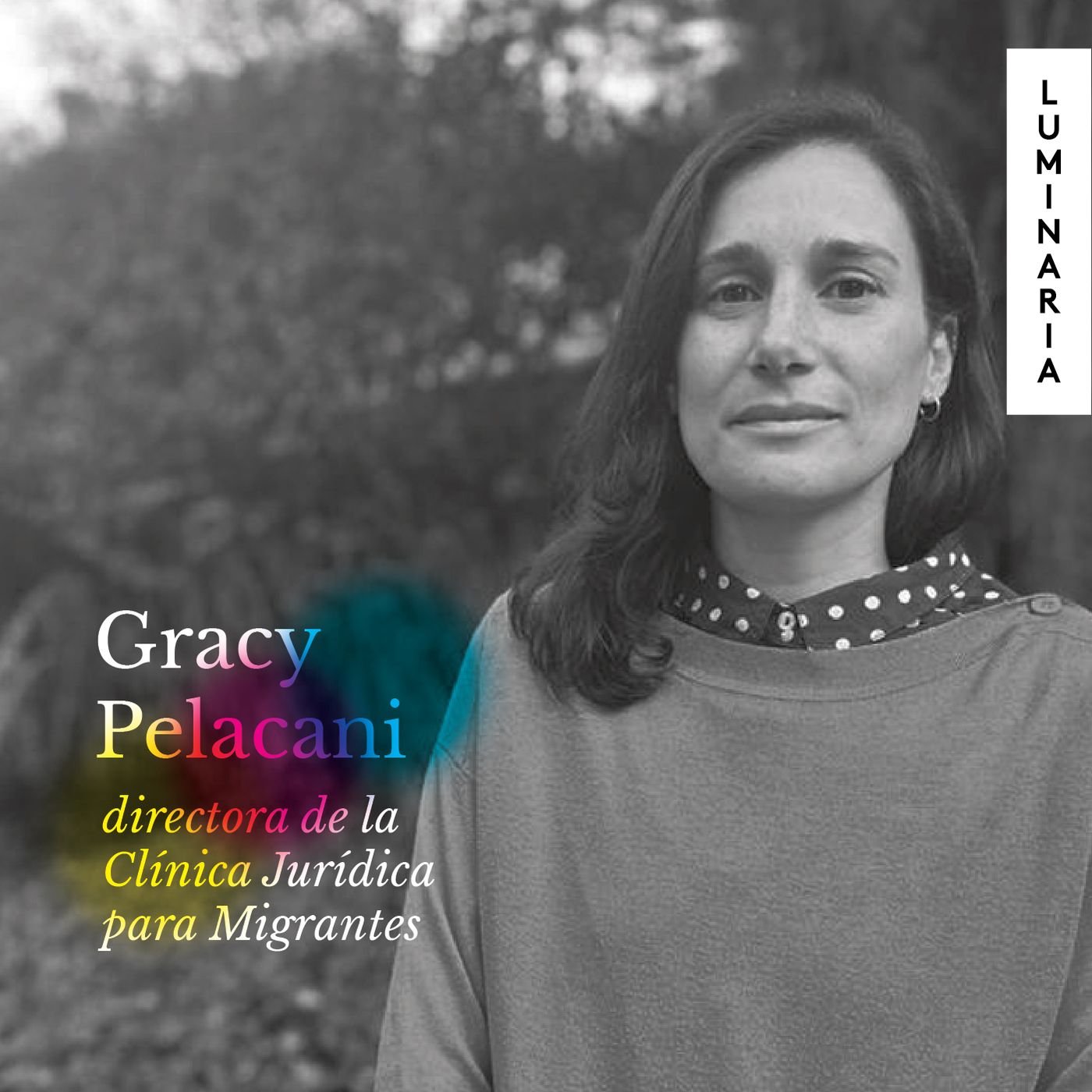 Luminaria: el brillo de las grandes ideas