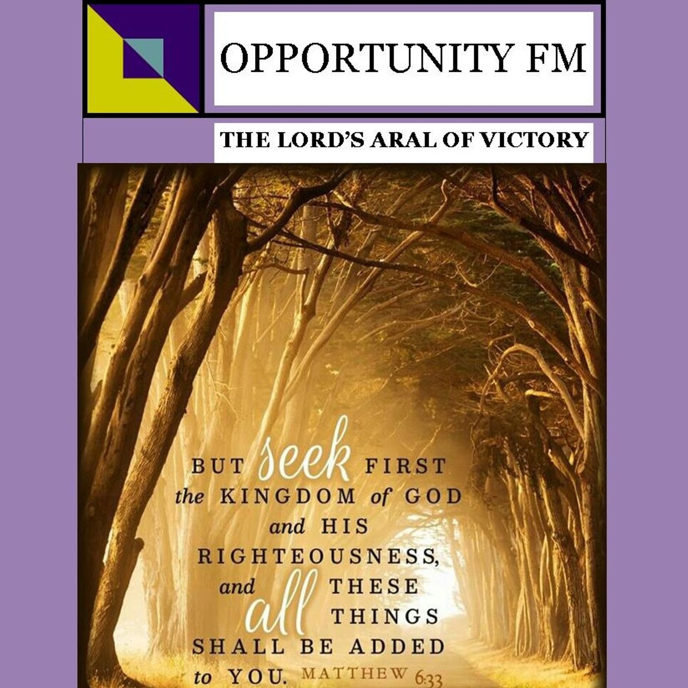 oppotunity fm's podcast