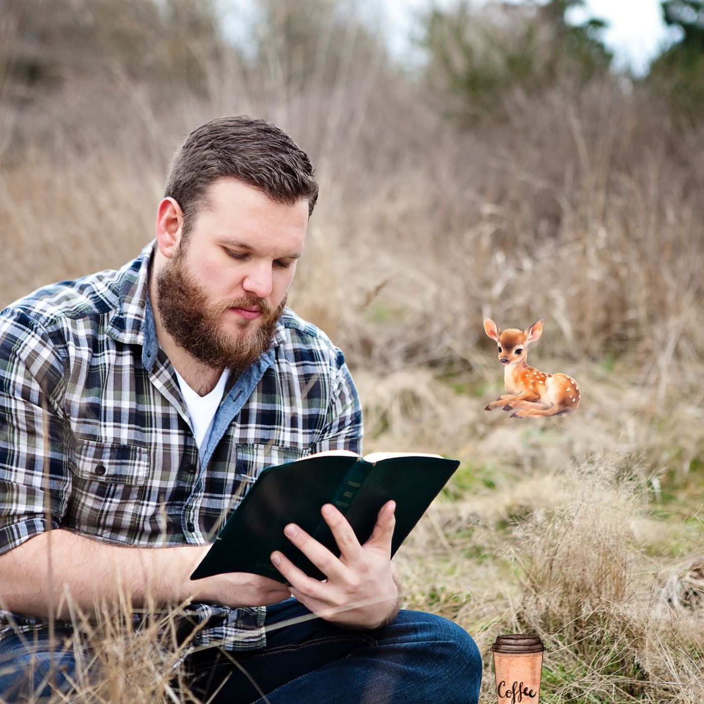 Biblical Moments with Frank King