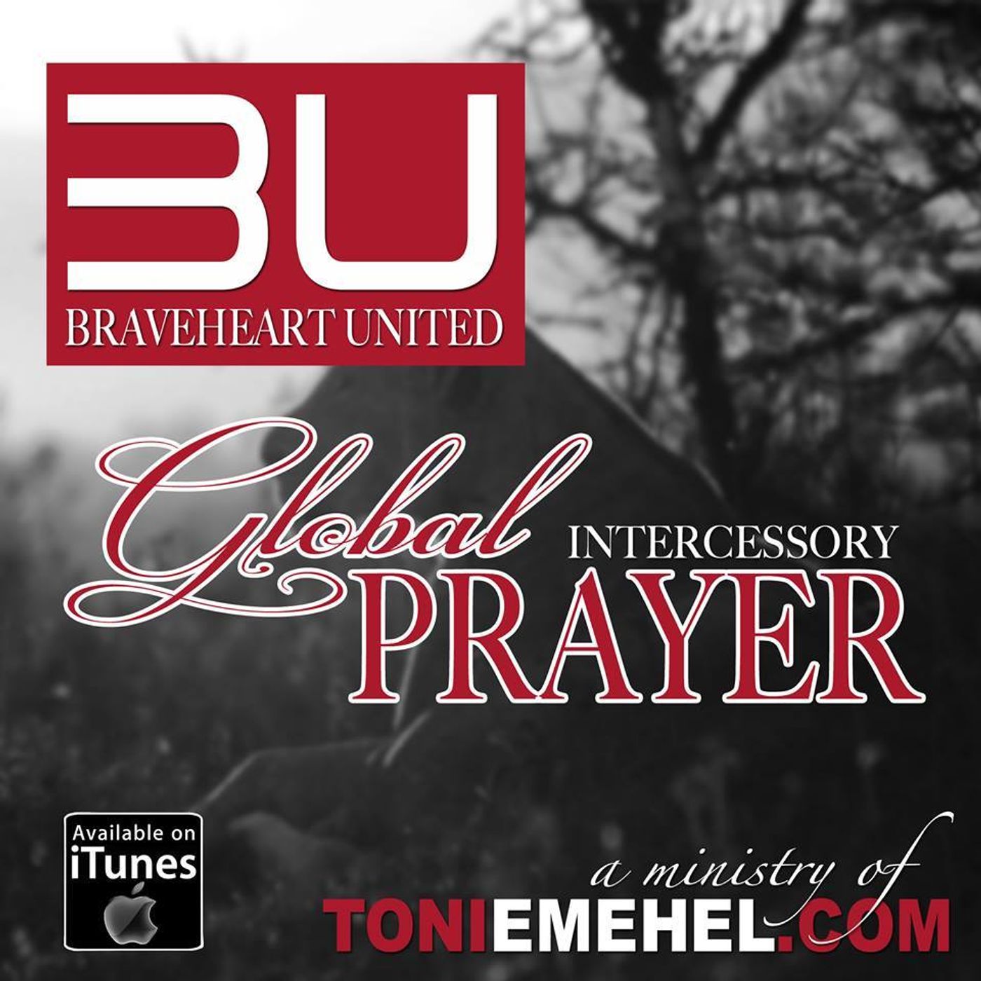Global Intercessory Prayer