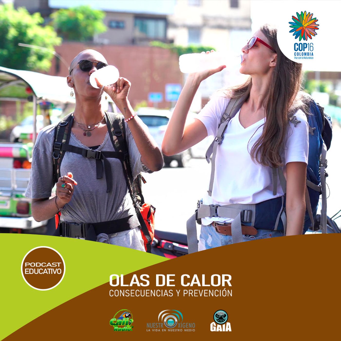NUESTRO OXÍGENO Olas de calor, consecuencias y prevención episode artwork