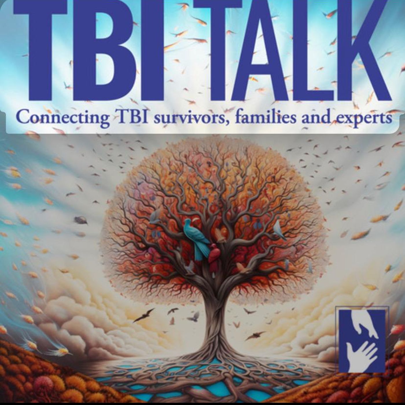 TBI Talk:Multiformat Network