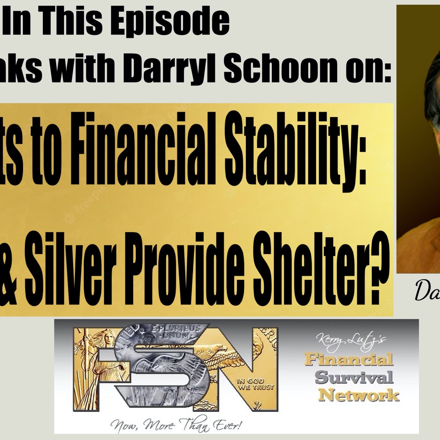 “AI Threats to Financial Stability: Can Gold & Silver Provide Shelter?”- Darryl Schoon #6109