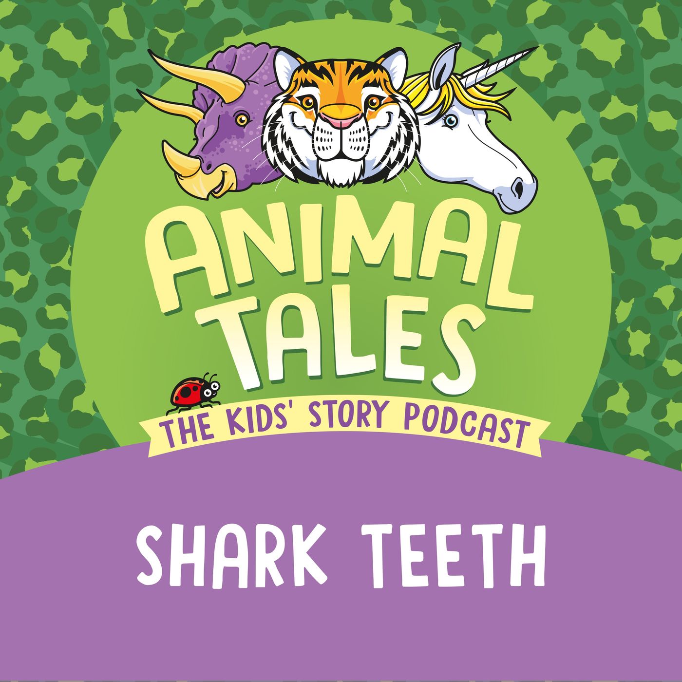 Shark Teeth