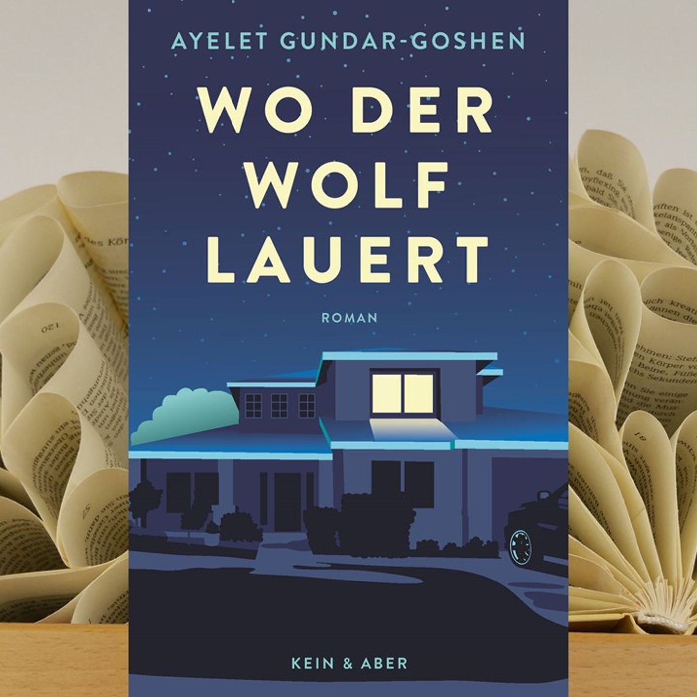 14.15. Ayelet Gundar-Goshen - Wo der Wolf lauert (Kerstin Morgenstern) episode artwork