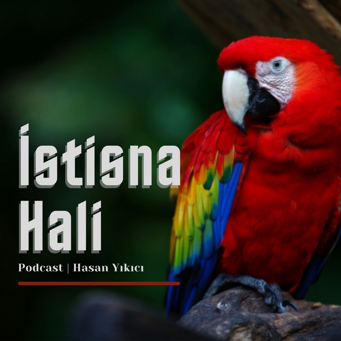 İstisna Hali
