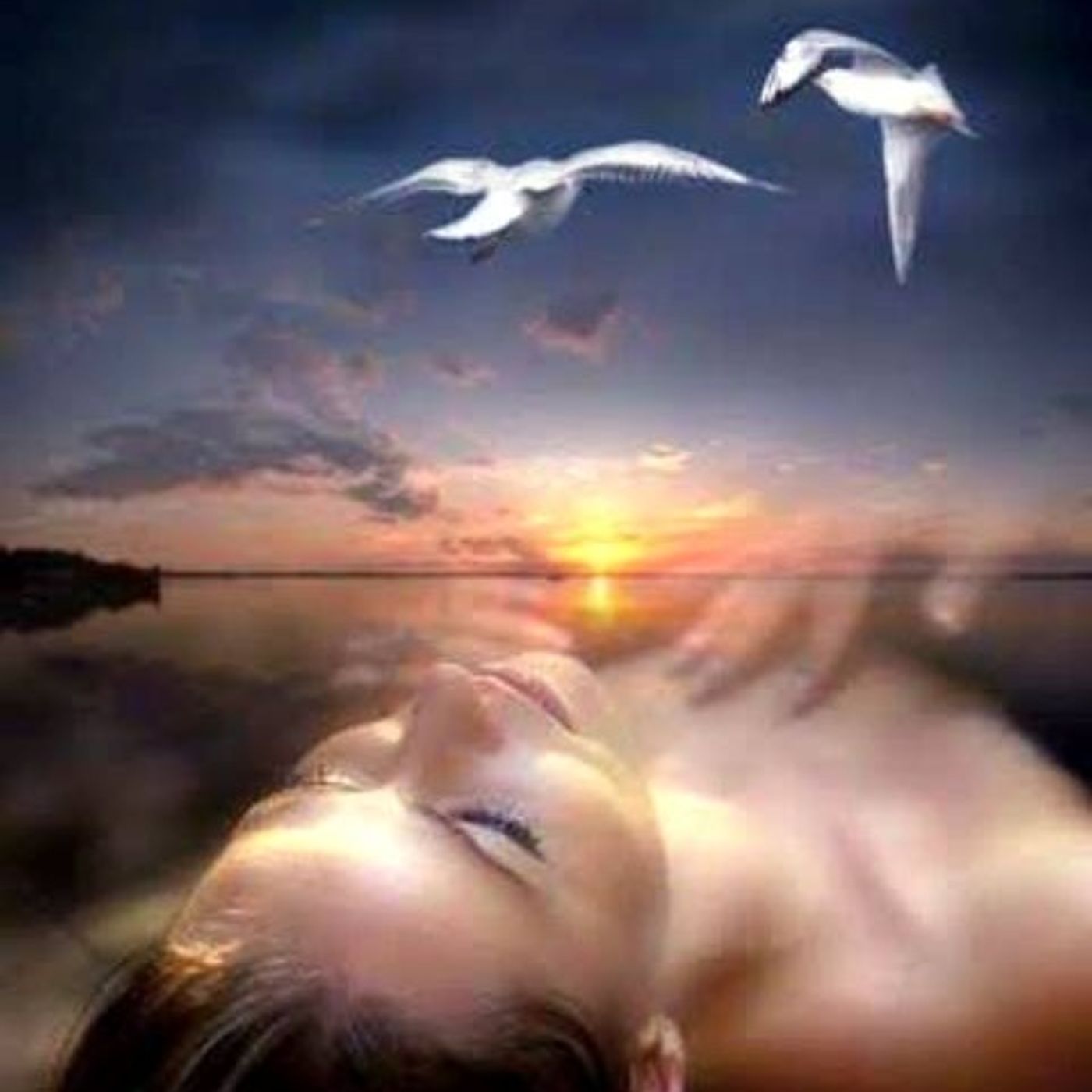 GLADYS (SEUDONIMO :FLORDELIZARGENTINA)