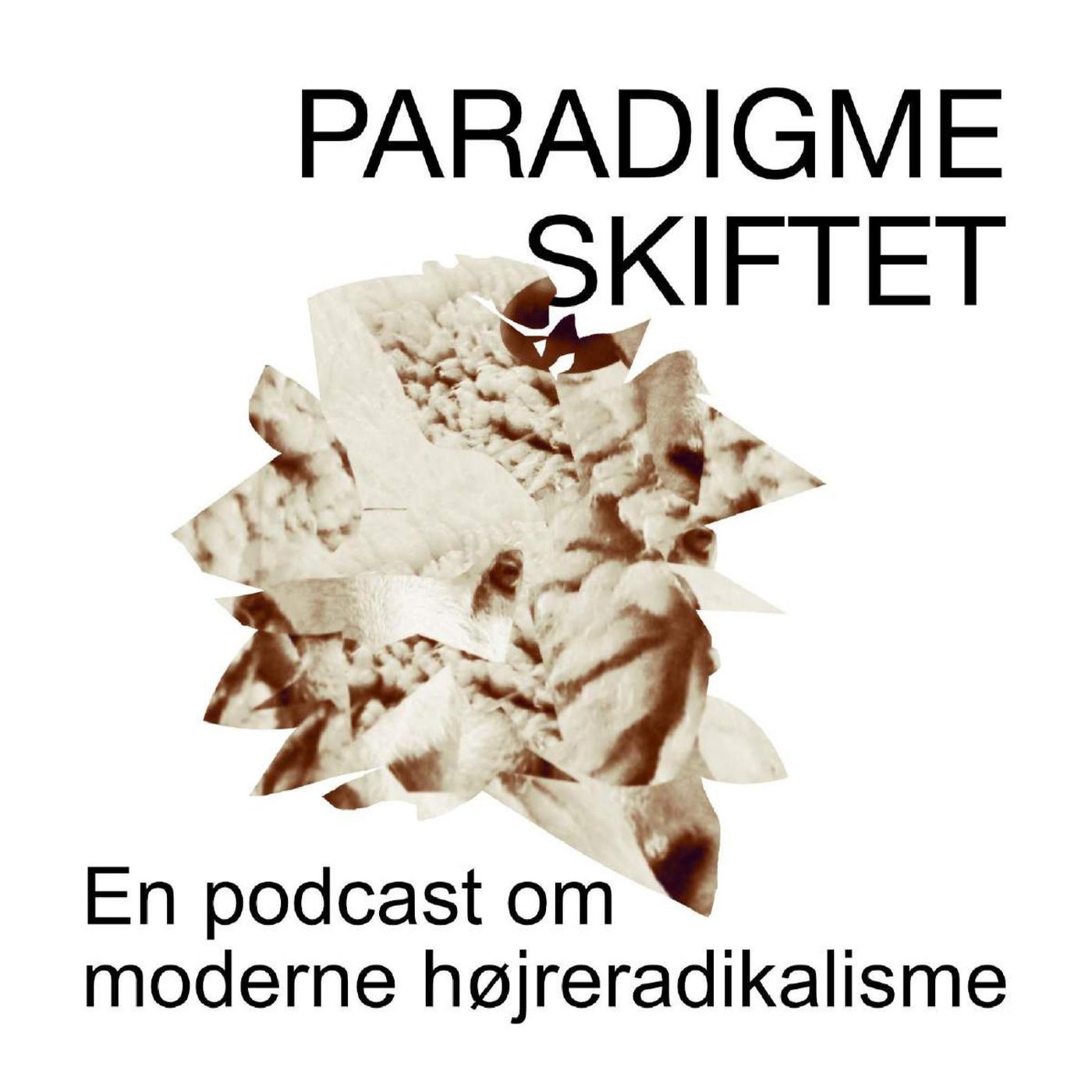 Paradigmeskiftet – en podcast om moderne højreradikalisme af Mathias Hee Pedersen