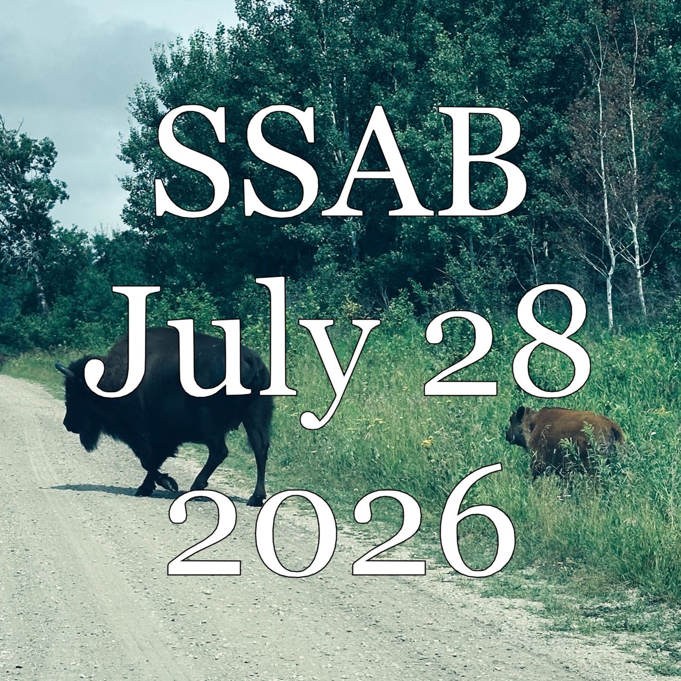 SSAB - July 28, 2026 episode artwork