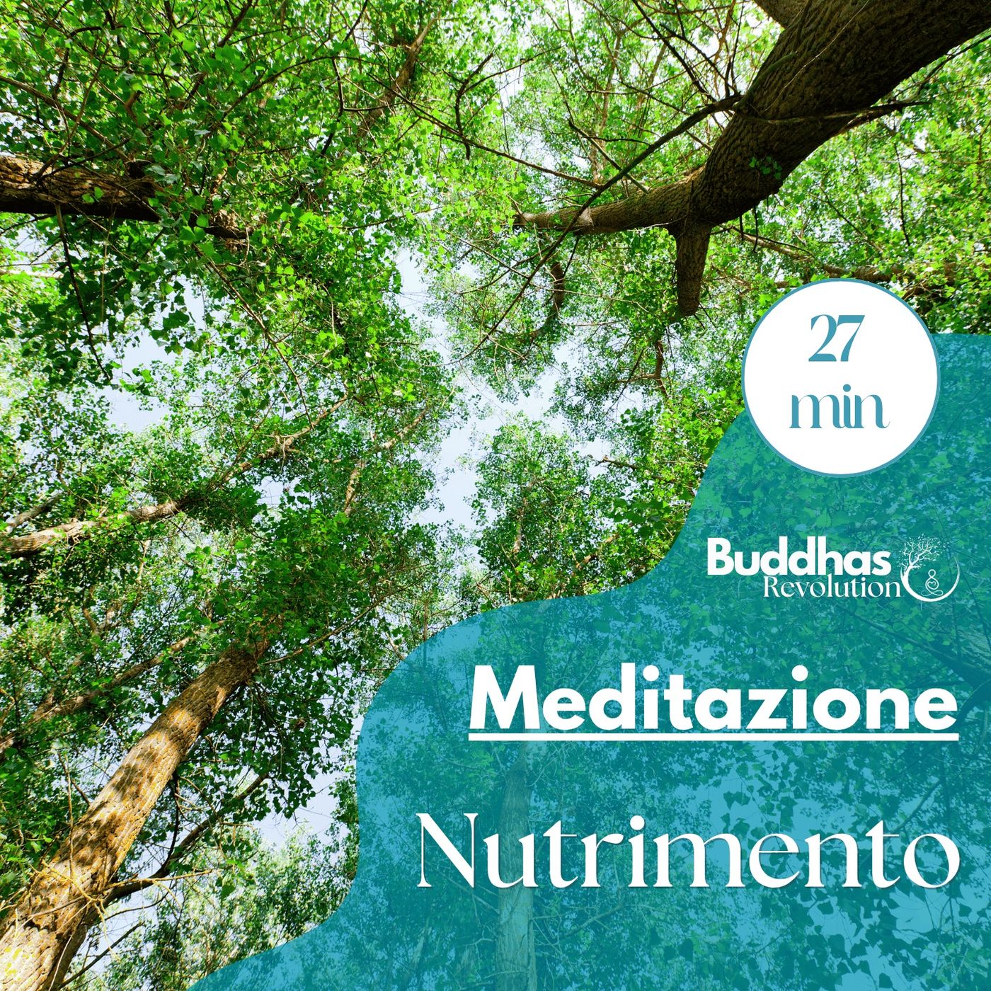 Buddhas Revolution