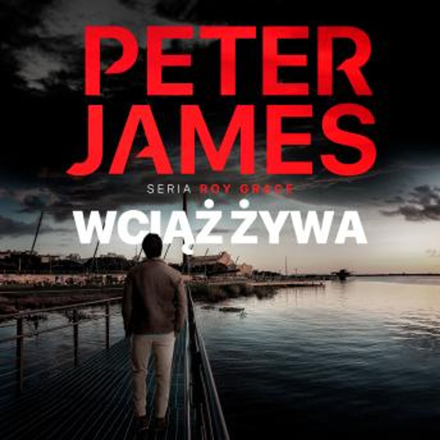 Find Best-Selling Full Audiobooks in Mystery, Thriller & Horror, Police & Detective