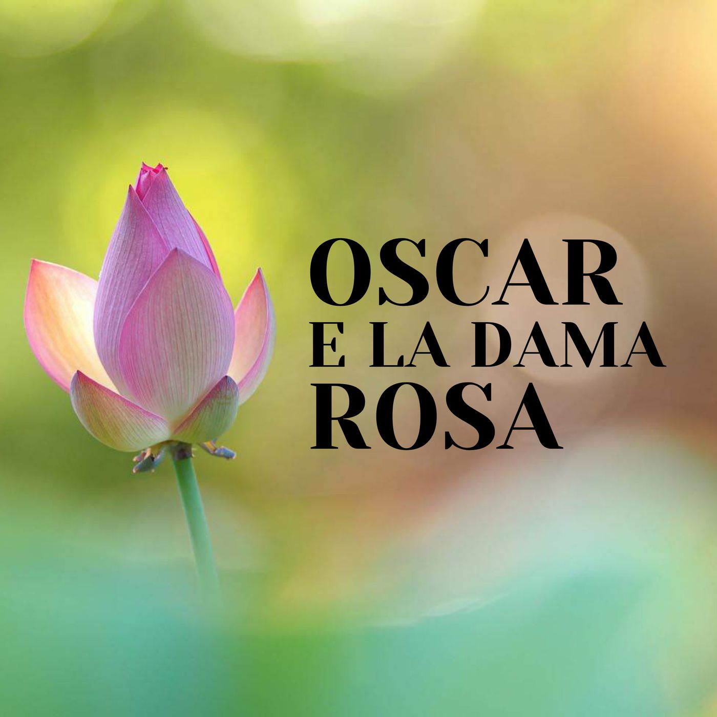 Oscar e la Dama Rosa