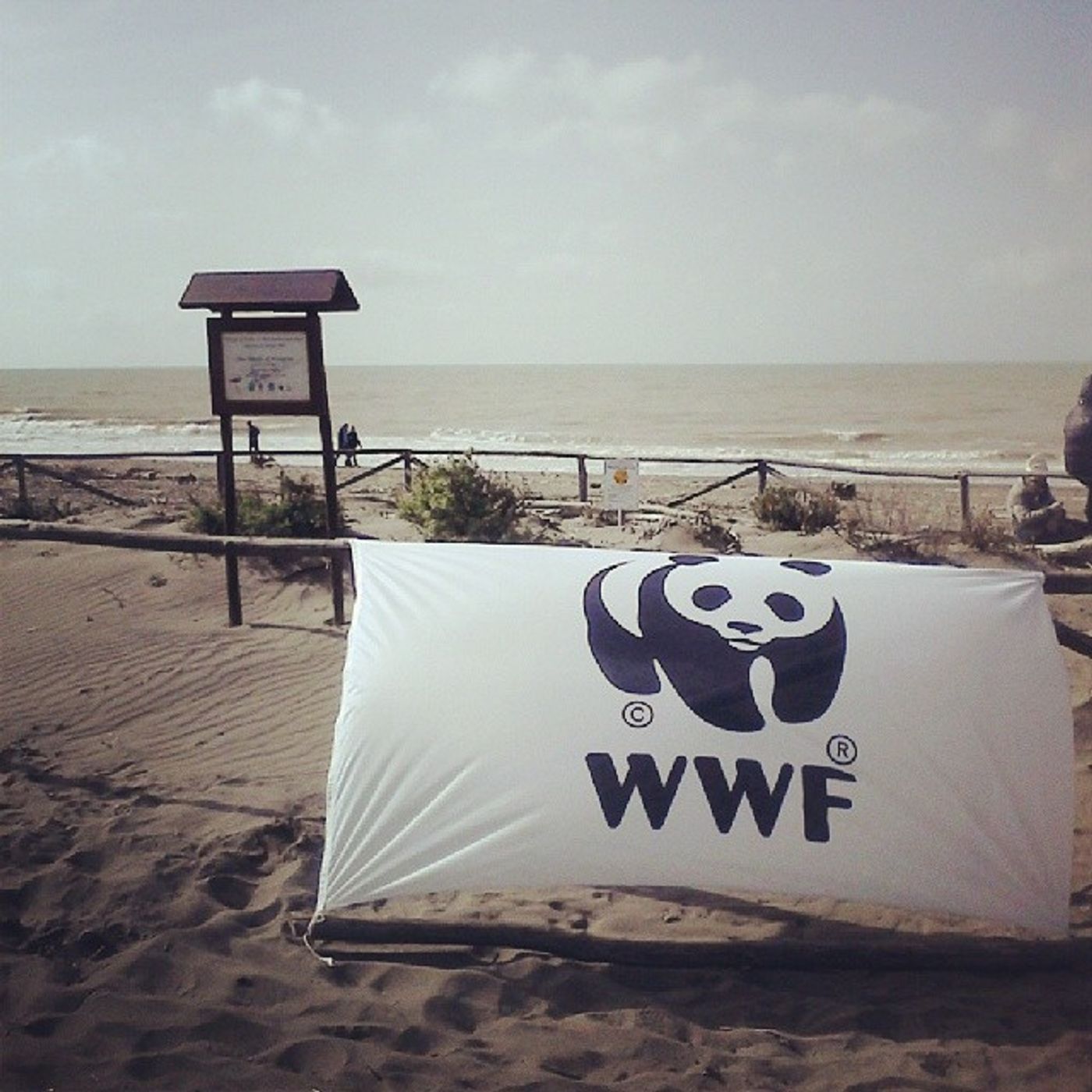 Speciale WWF: Gli habitat dunali episode artwork