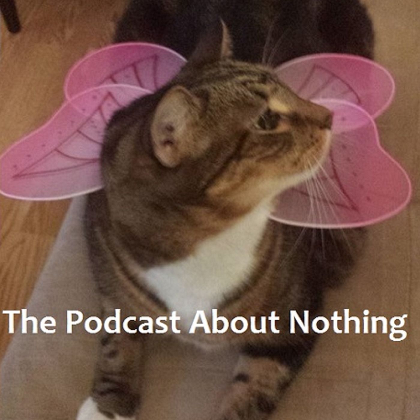 The Podcast About Nothing