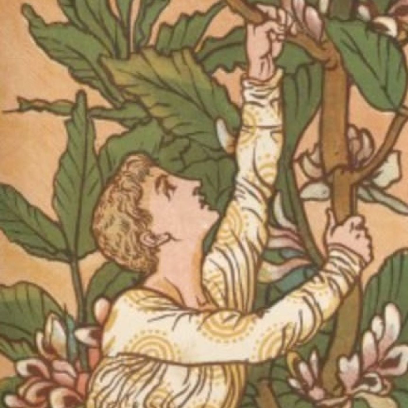 Jack and the Beanstalk | Classic Fairy Tales episode artwork