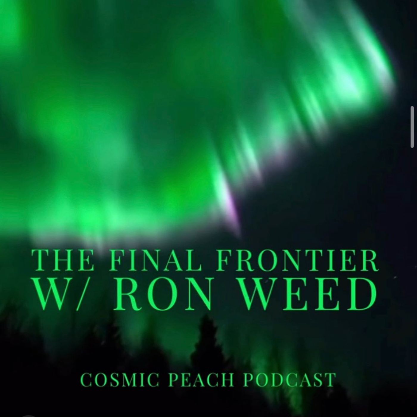 The Final Frontier (Feat. Ron Weed)