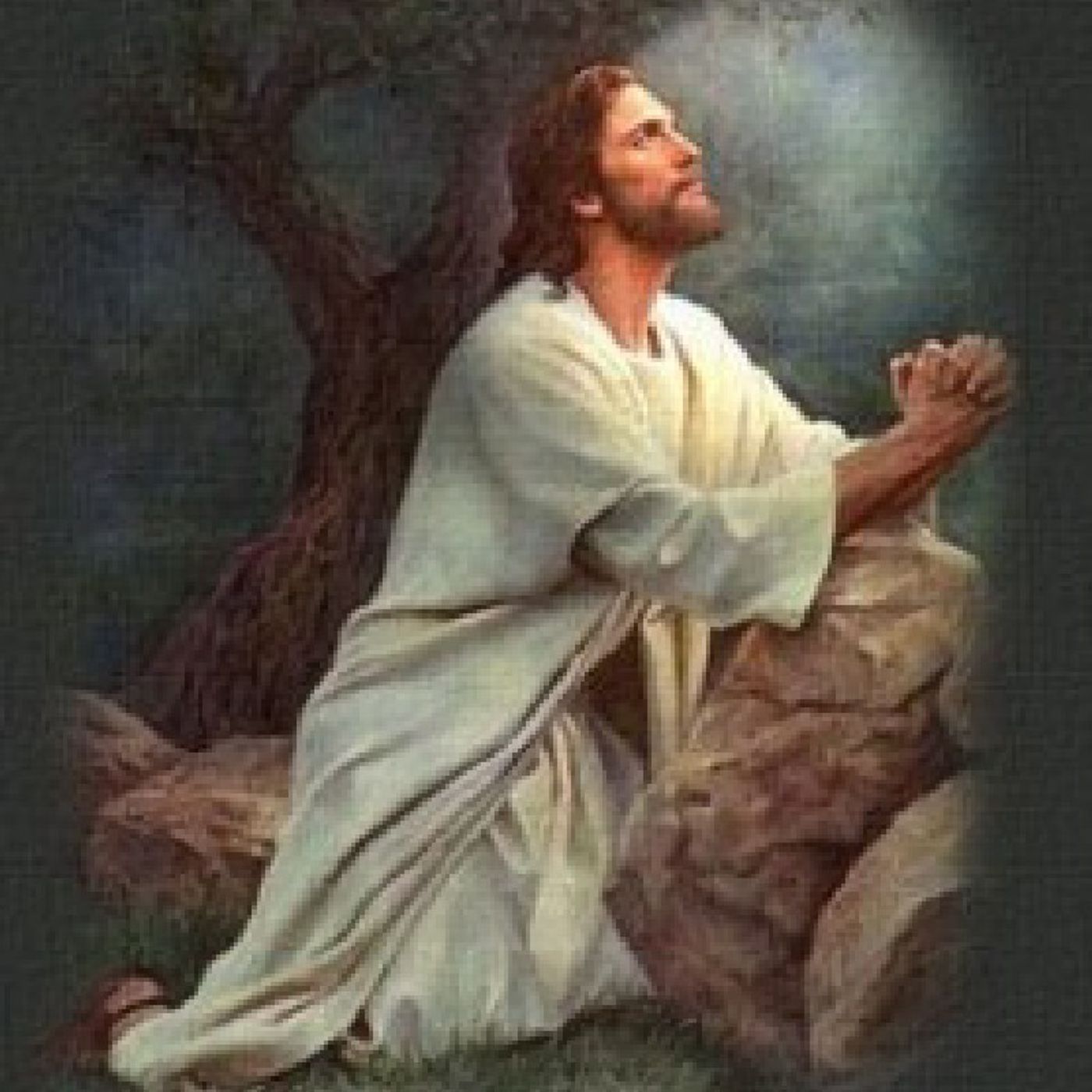 La Reflexión del Día "Oramos por Cristo, con Él y en Él" episode artwork