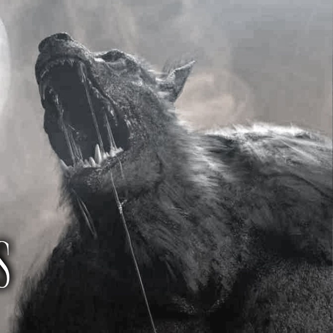 Por Mi Desobediencia Un Nahual Me Atacó  Historias De Terror - Voces De La Noche