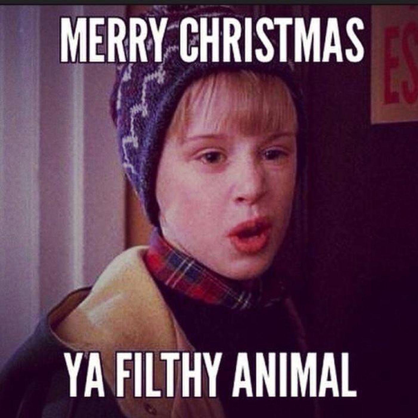 Tis the season thumbnail