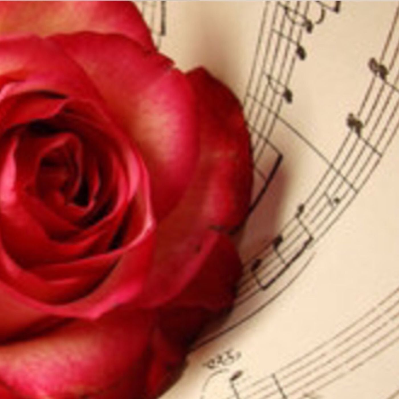 Roses And Music