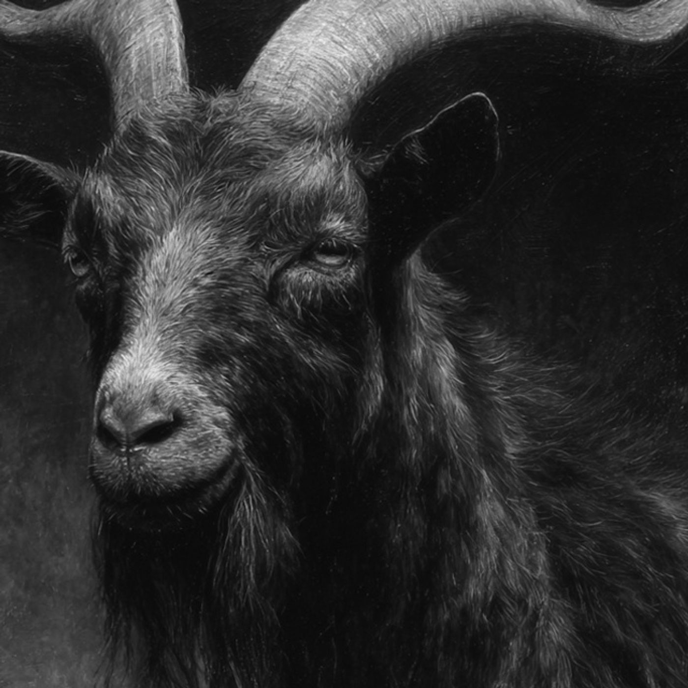 Desenterramos Un ANIMAL Con BRUJERÍA Historias De Terror - REDE