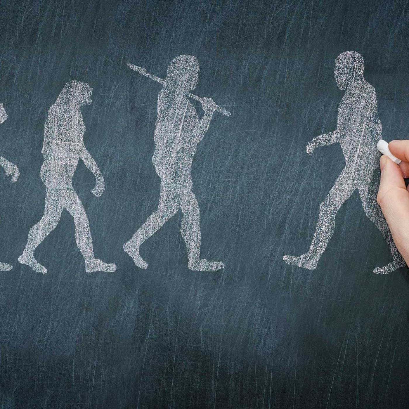 “Non è la specie più forte a sopravvivere”: la vera intelligenza è sapersi adattare, parola di Darwin