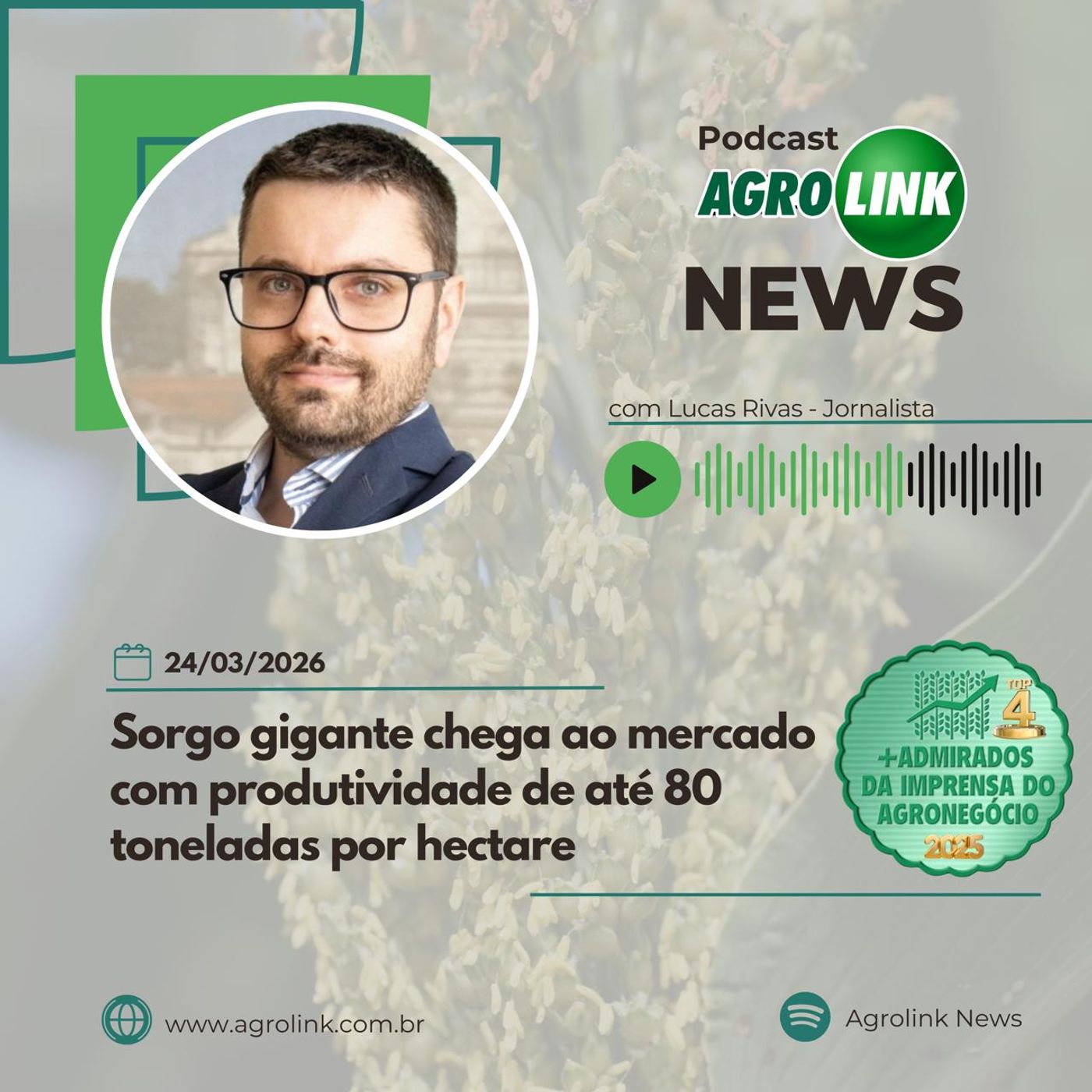 Rio Grande do Sul deve colher 19 milhões de toneladas de soja episode artwork