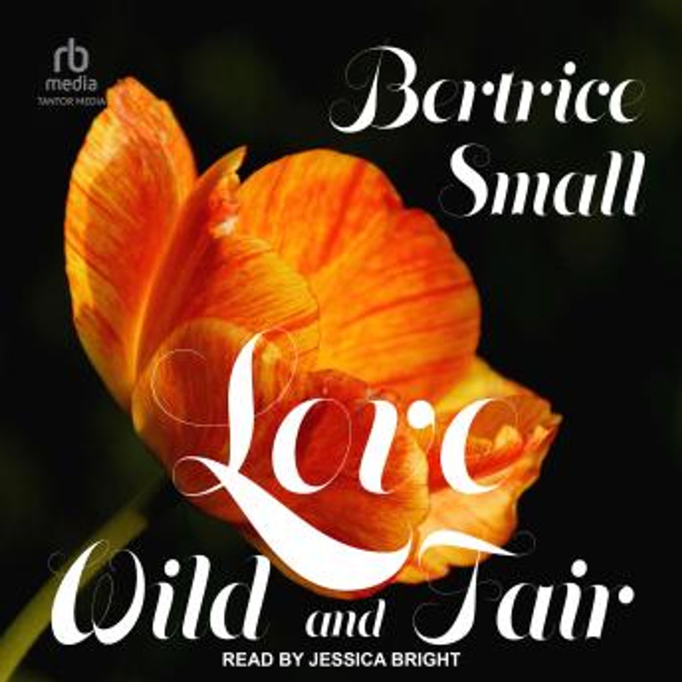 Download Latest Full Audiobooks in Romance, Romantica